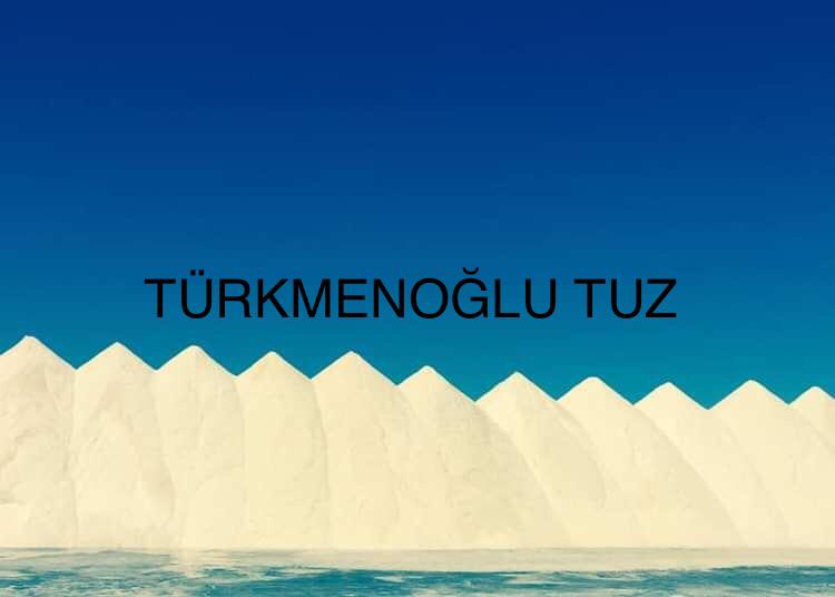 anasayfa_turkmen1